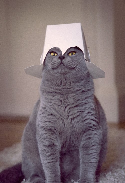 Полина Рыкова | Москва