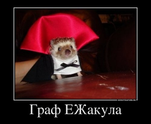 Дима Иванов | 