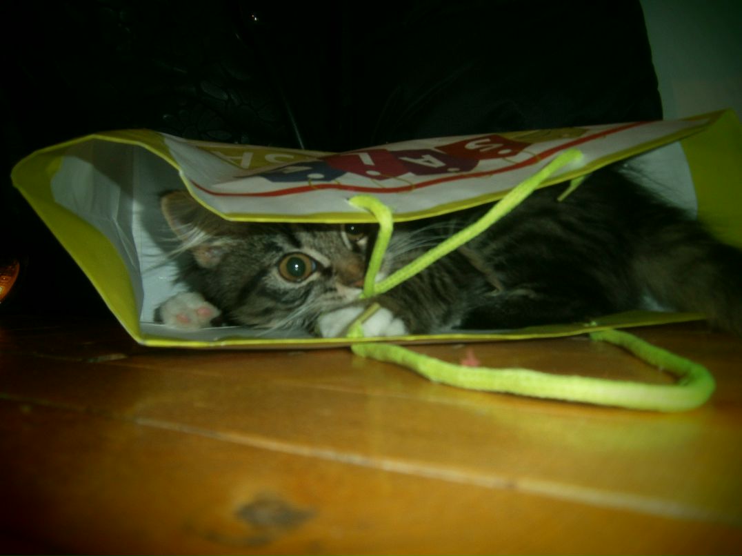 Анастасия Кунафина | Москва