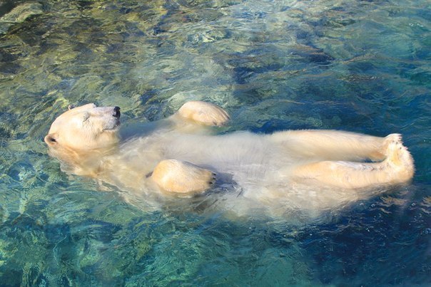 Фаина Шигапова | Октябрьский