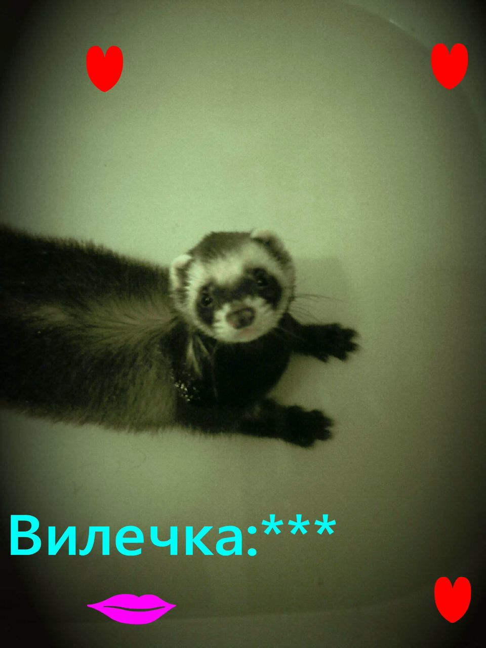 Ксения Зайцева | Екатеринбург