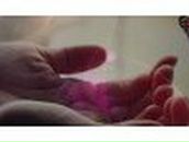 Ольга Манильчук | Архангельск