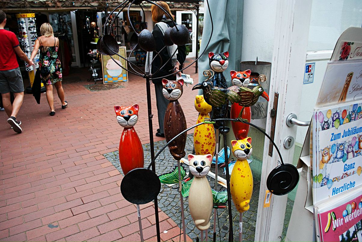 Іра Приплоцька | 