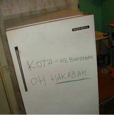 Константин Якубик Сергеевич | Санкт-Петербург