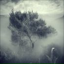 №16, Алексей Валерьевич, 22.3.1976, 50 лет