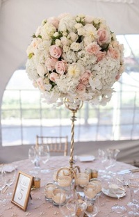 Zarina Studio