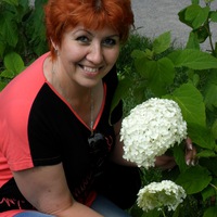 Елена Герасименко