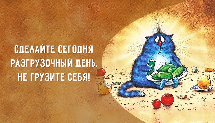 Совет дня картинки прикольные смешные