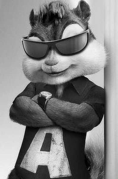 Сергей Мурзаев