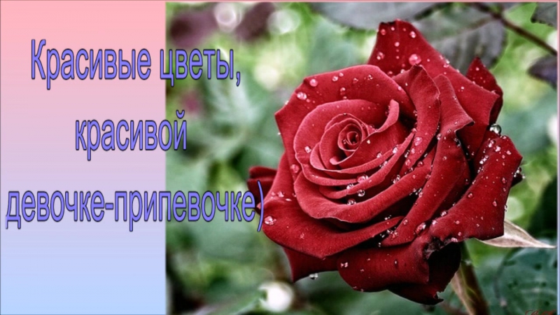 Прекрасной