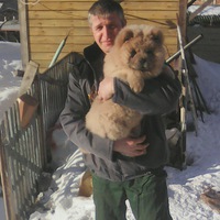 Михаил Андреев