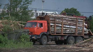 Лес: как сейчас работает бывший Вохтожский ДОК?