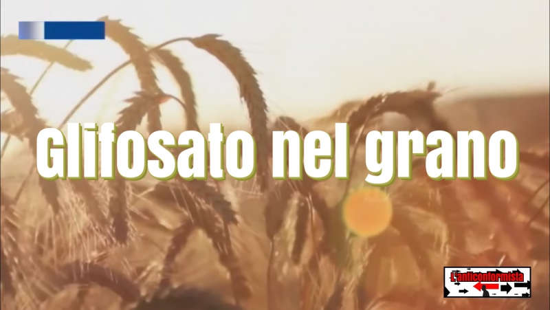 Glifosato nel