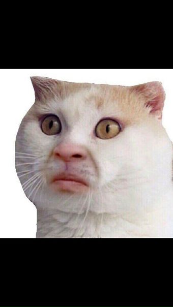 Захар Стоялов