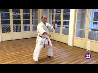 Naihanchi Kata