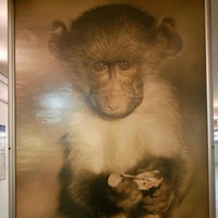 Александр Александров