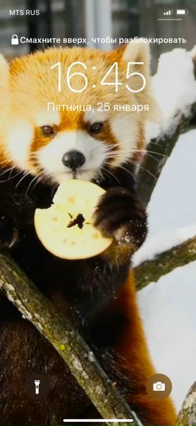 Тихон Яхнин, Россия, Москва