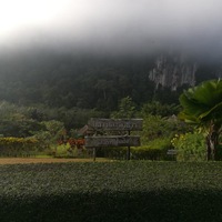 Александр Александров