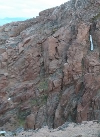 Александр Новиков