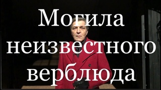 Невзоров. МОГИЛА НЕИЗВЕСТНОГО ВЕРБЛЮДА.