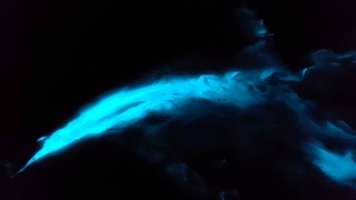 Sea Sparkle 2