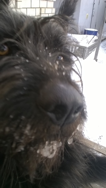 Andrei Kurochkin, Россия, Ижевск