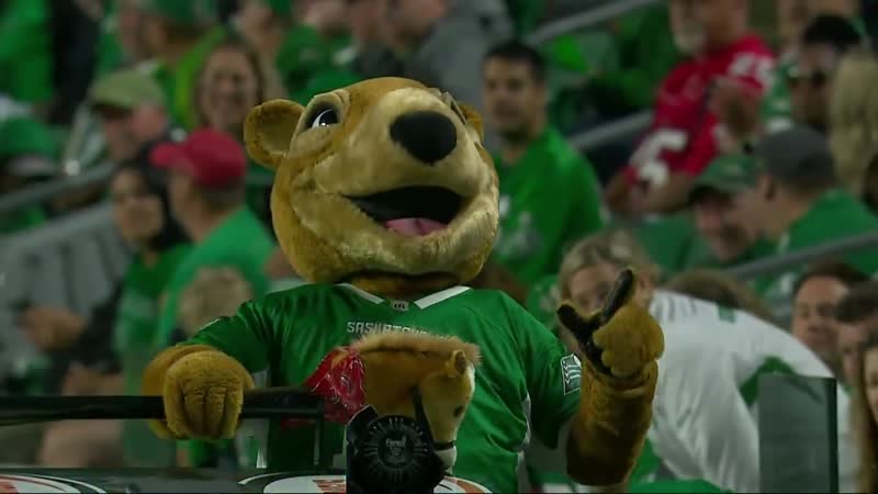 CFL 2019, Week 04, Calgary Stampeders Saskatchewan Roughriders,