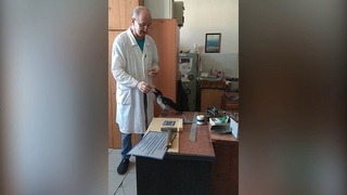 Ворона