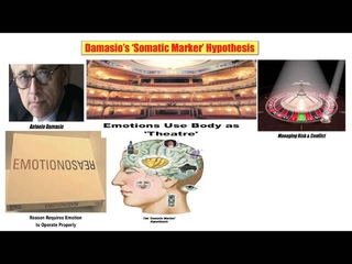 16) Damasio’s ’Somatic Marker’ Hypothesis