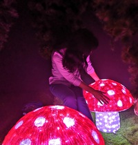 Татьяна Федорова