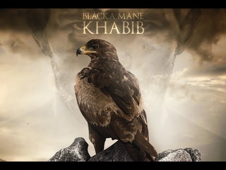NEW!!! Khabib “The Eagle“ Nurmagomedov Highlights 2018 UFC 229 l Blacka mane - Khabib new!!! khabib “the eagle“ nurmagomedov hig