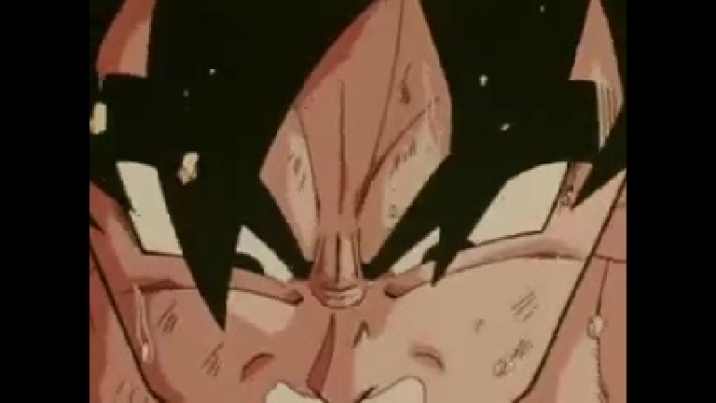 Dragon Ball, The