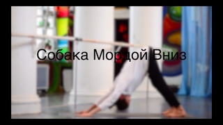 Собака Мордой Вниз - Правильное выполнение
