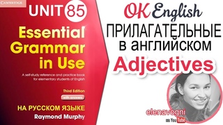 Unit 85 Прилагательные в английском (Adjectives) | OK English Elementary