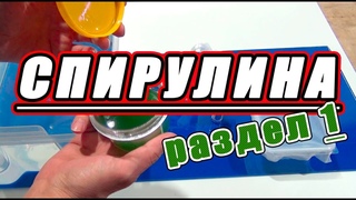 Спирулина. Раздел 1