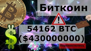 Биткоин 54162 BTC ($430000000) переместились. График BTC: Финальный дамп BTC перед ростом?