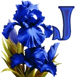 синий ирис алфавит, image #10