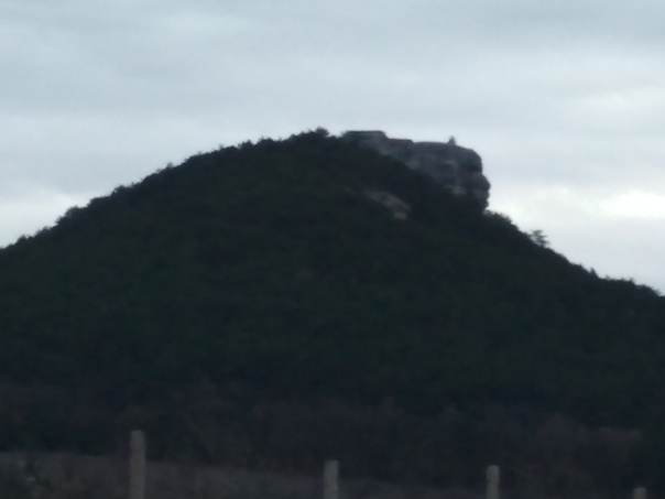 Роман Романов, Россия, Москва