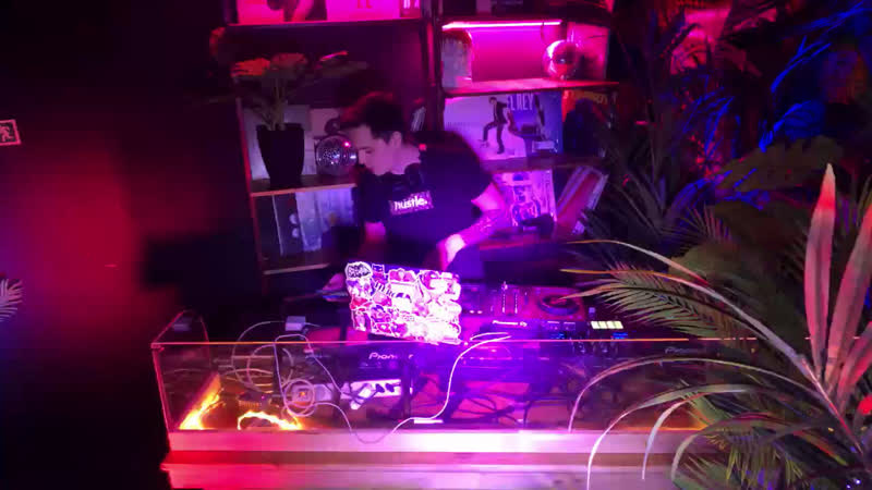 Live: WONDER BAR