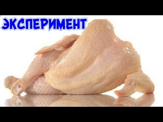 КАК ЗАПЕЧЬ КУРИЦУ БЕЗ ДУХОВКИ