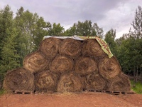 Золотой Телёнок - ферма в деревне Поджигородово