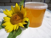 Натуральный мёд с пасеки, купить в Волхове