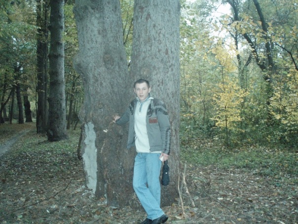 №15, Константин Игнатович, Шахты №15, Константин Игнатович, Шахты