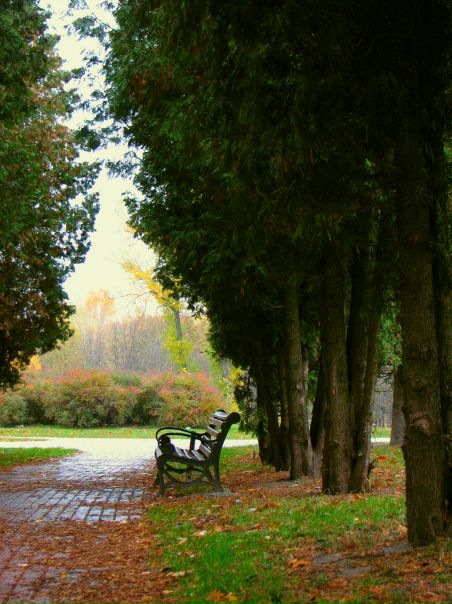 №27, Иван Тоцкий, Киев №27, Иван Тоцкий, Киев