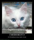 №2 Анна Григорашенко 11.02: профиль, фото, статус - ВКонтакте