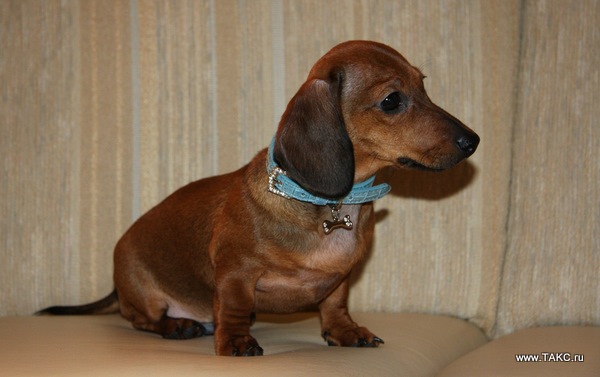 №20, Анастасия Лю, Москва №20, Анастасия Лю, Москва