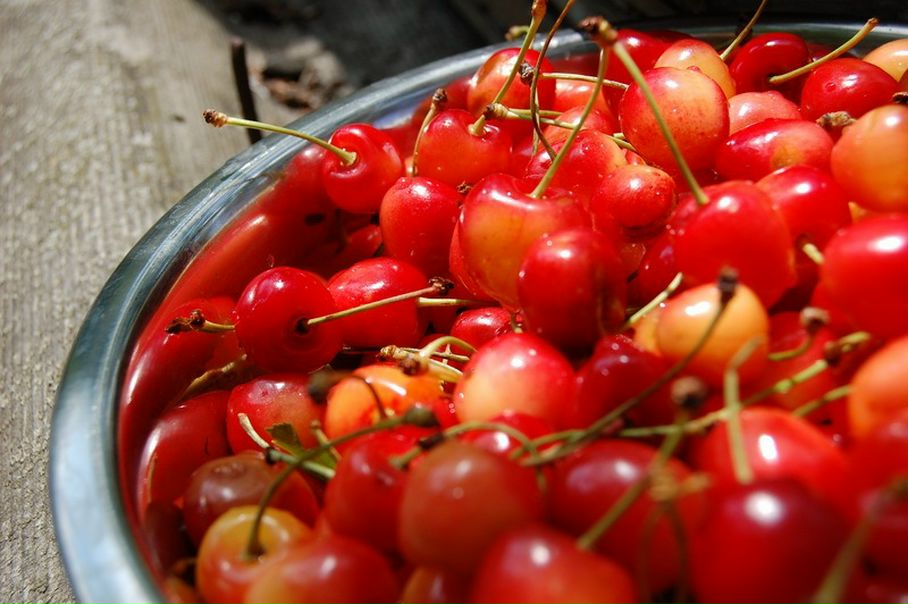 №96, Юлія Хижняк, 41 год, Киев №96, Юлія Хижняк, 41 год, Киев