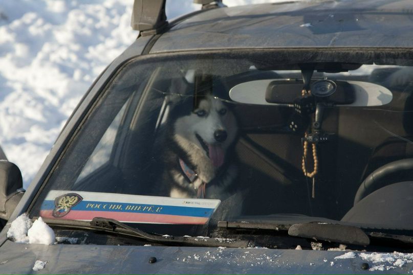 Александра Петрова | Санкт-Петербург