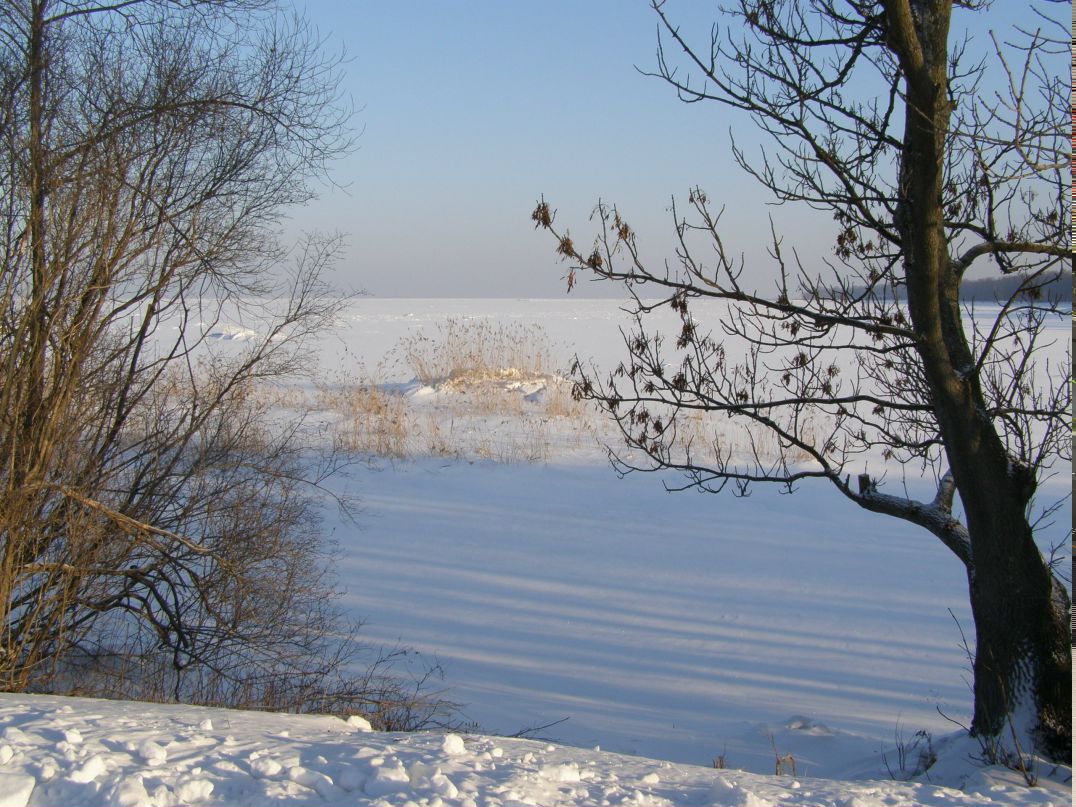 Александер Вильскер | Санкт-Петербург