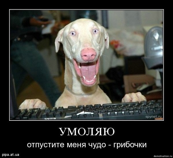 №45, Вова Журжий, Одесса №45, Вова Журжий, Одесса